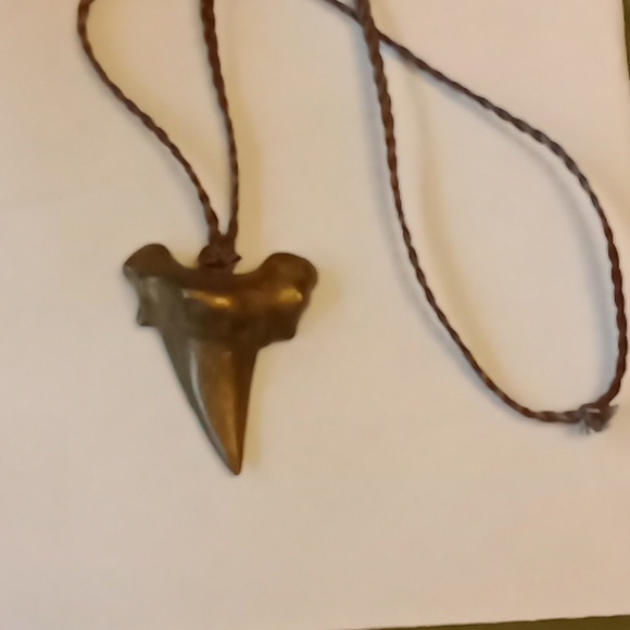 Jewelry - Brass sharks tooth Necklace #816